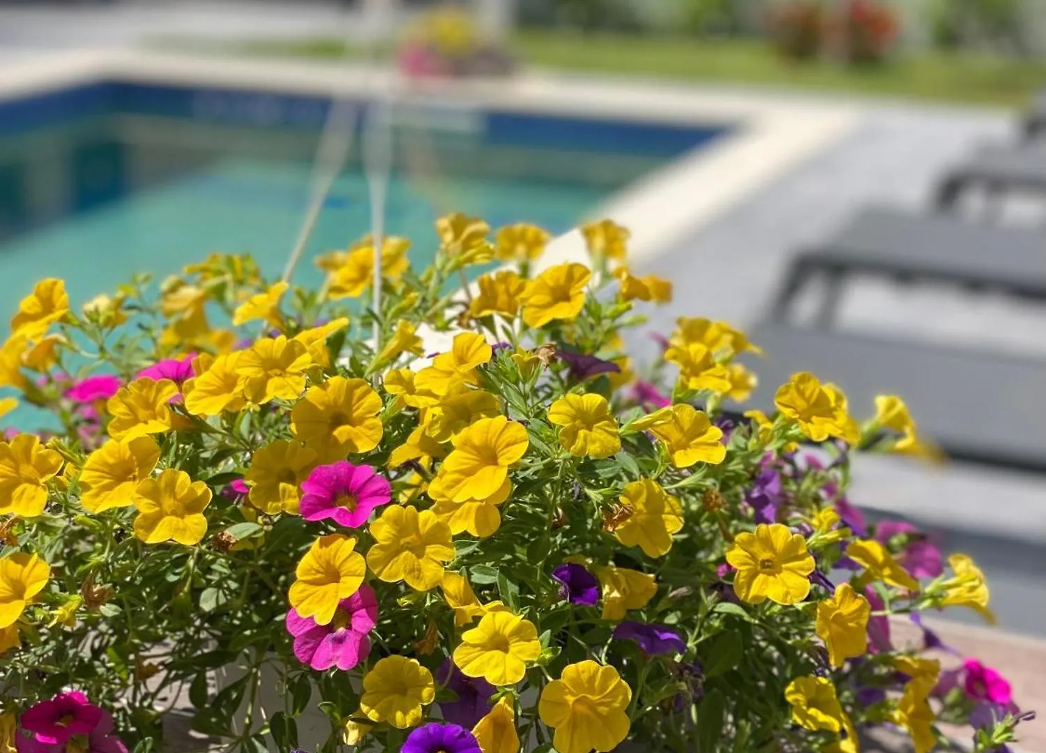 Levante Maisonette,Halkidiki Kallithea